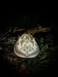 Roots of the Sea - Horseshoe Crab