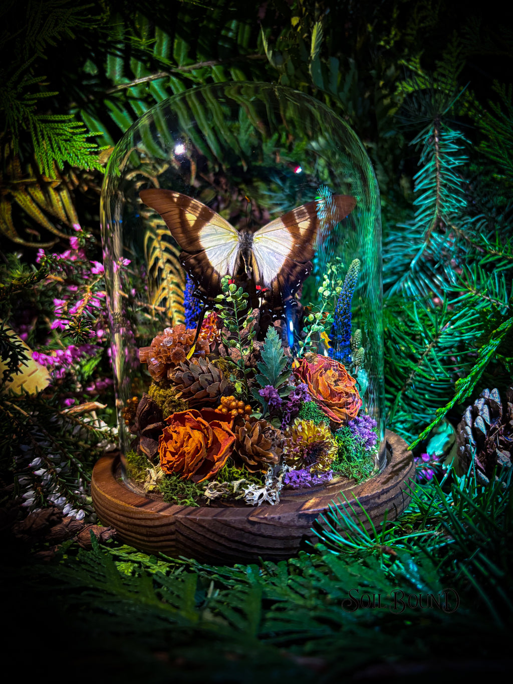 Woodland Daydream