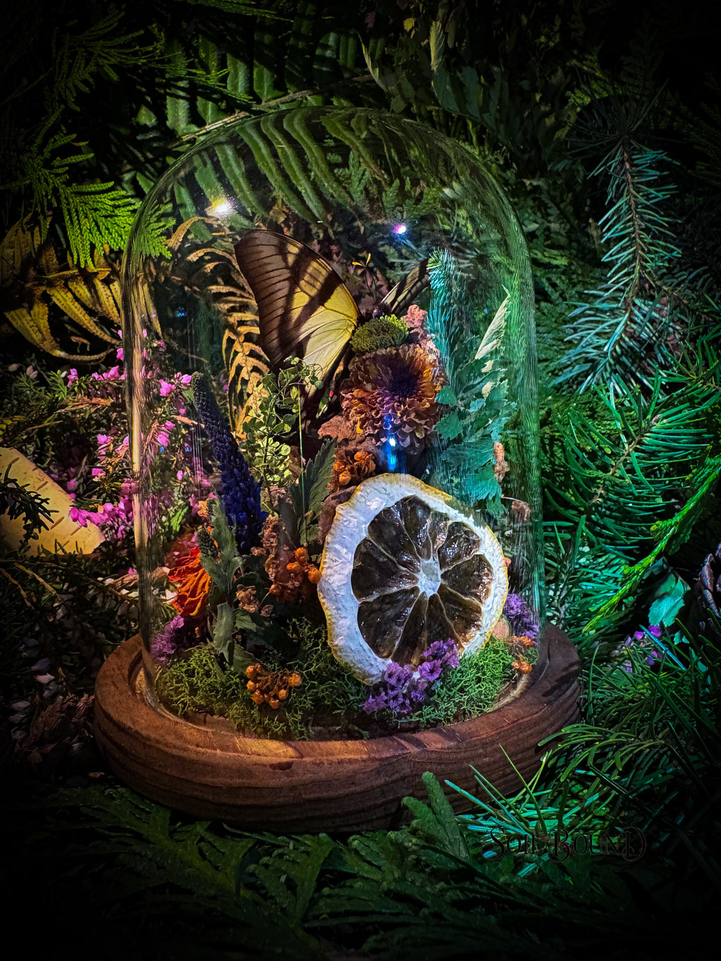 Woodland Daydream