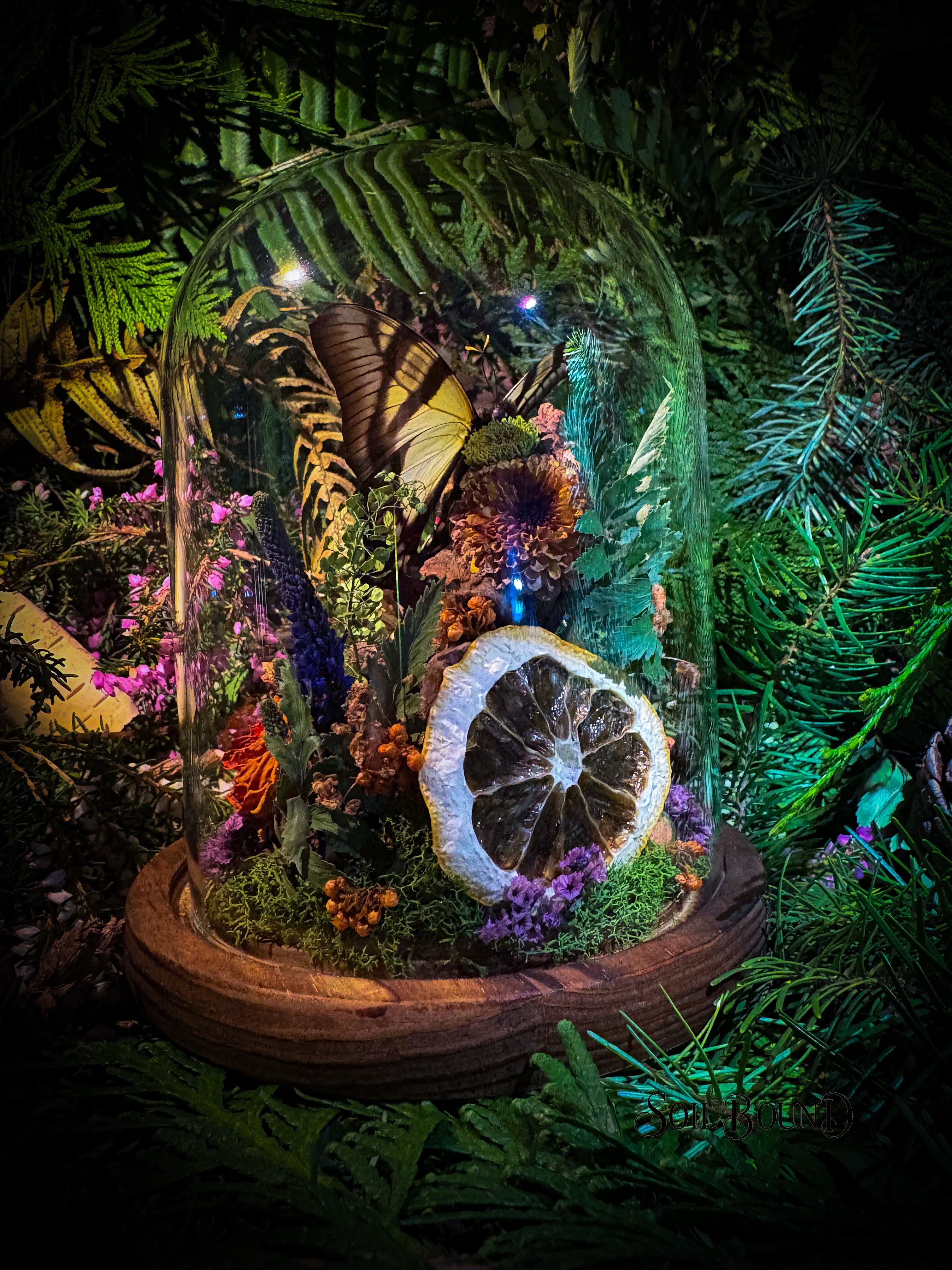 Woodland Daydream
