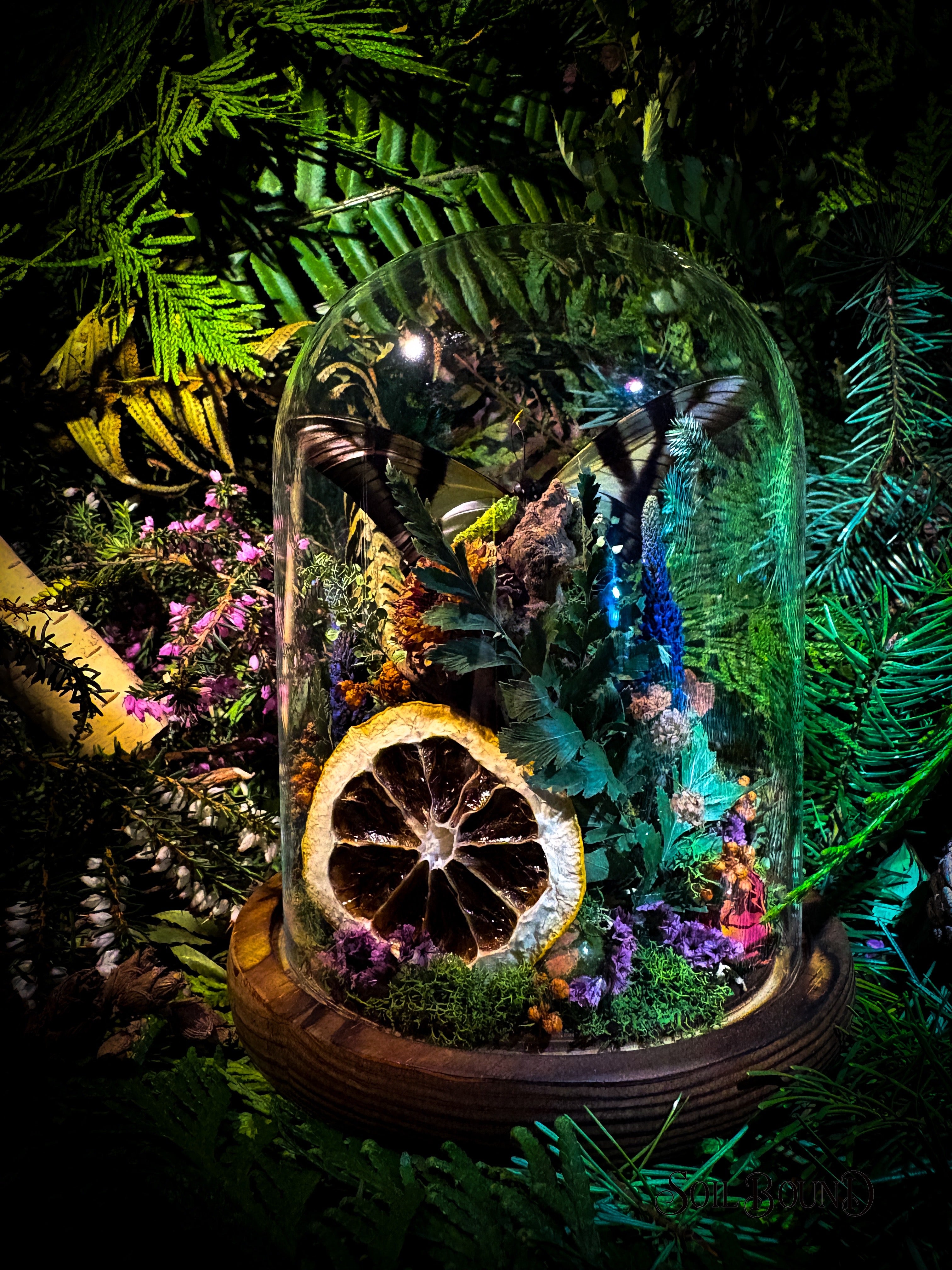 Woodland Daydream