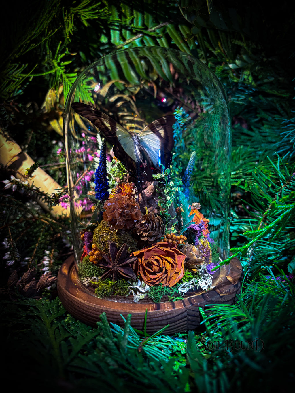 Woodland Daydream