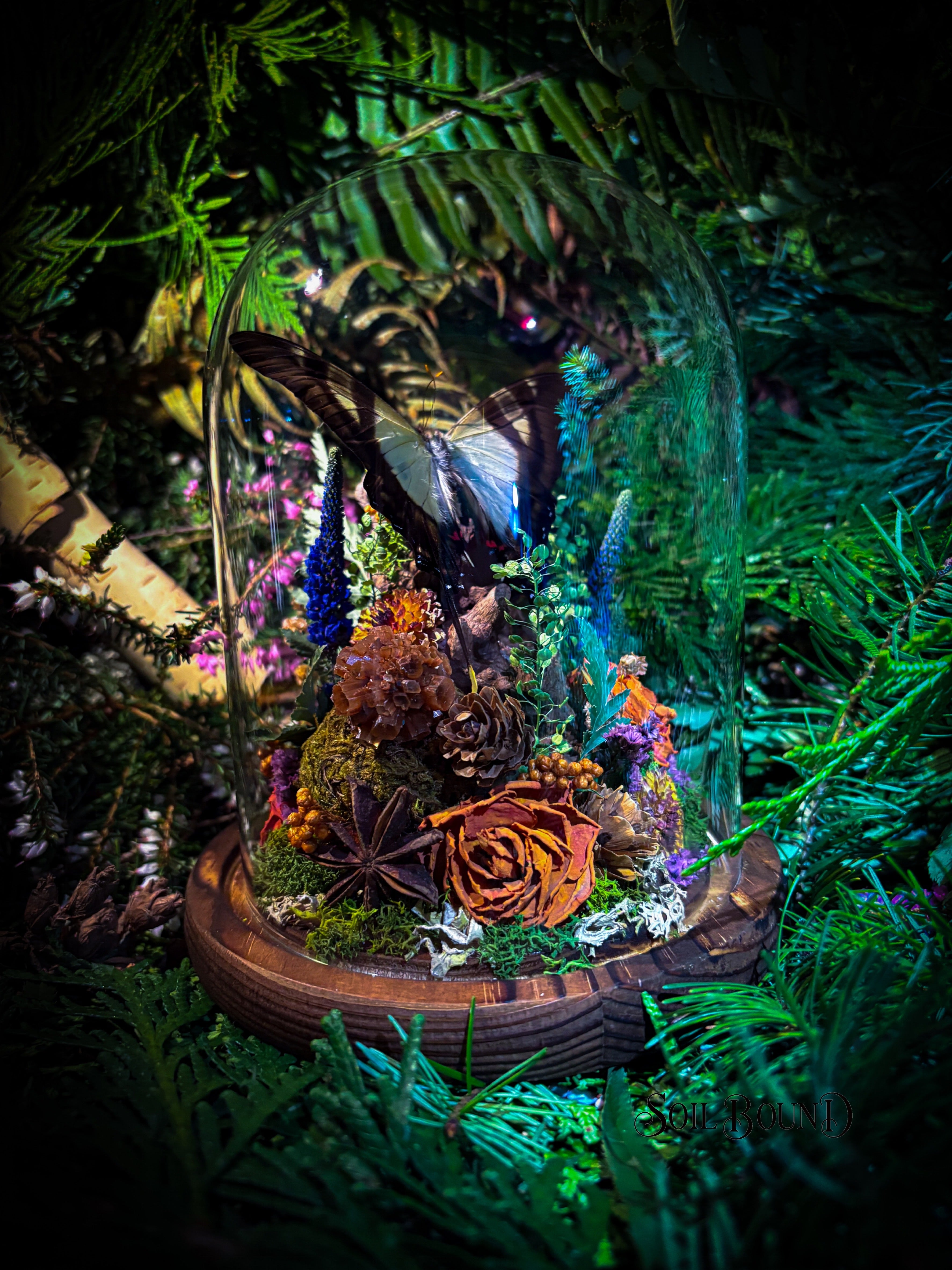 Woodland Daydream