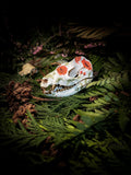 Where the Poppies Rest - Opossum