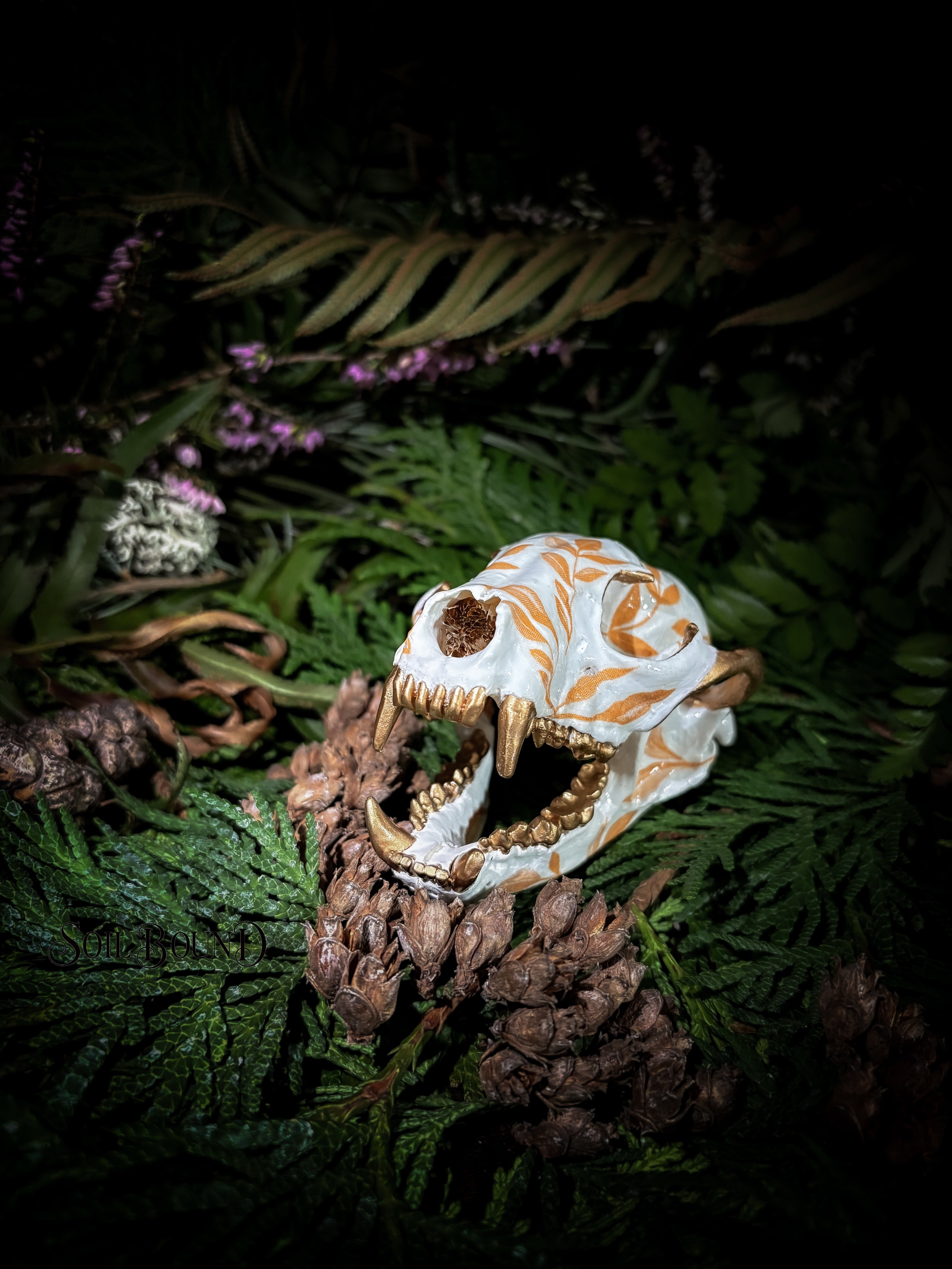 Echoes of the Forest - Raccoon