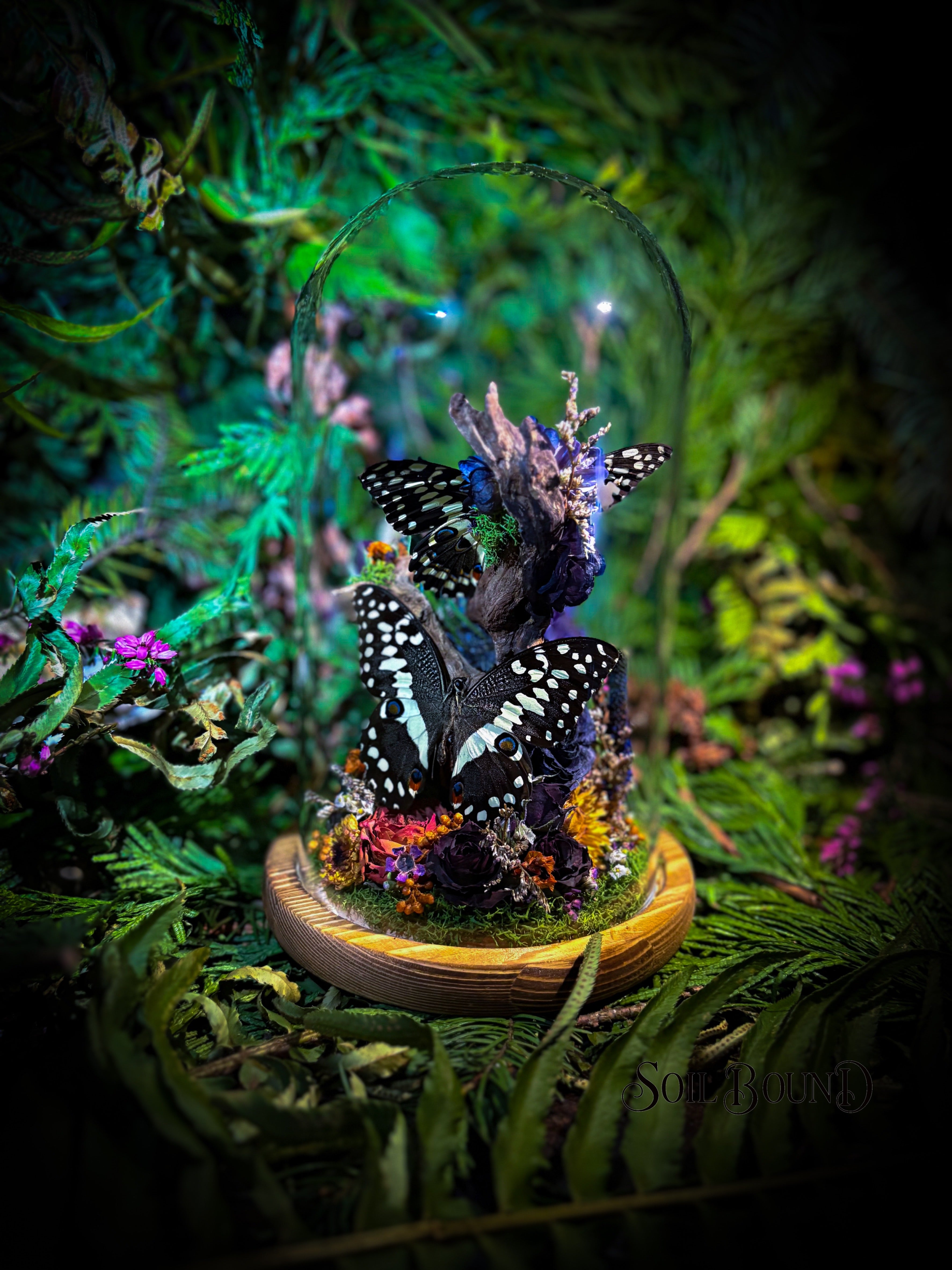 Thistle Adrift