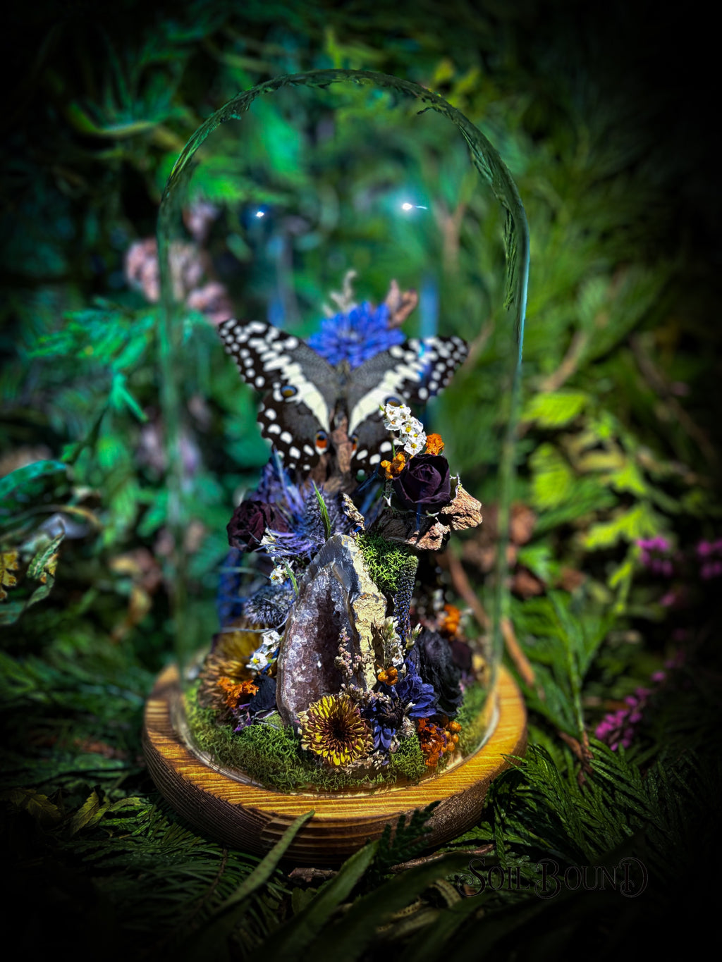 Thistle Adrift