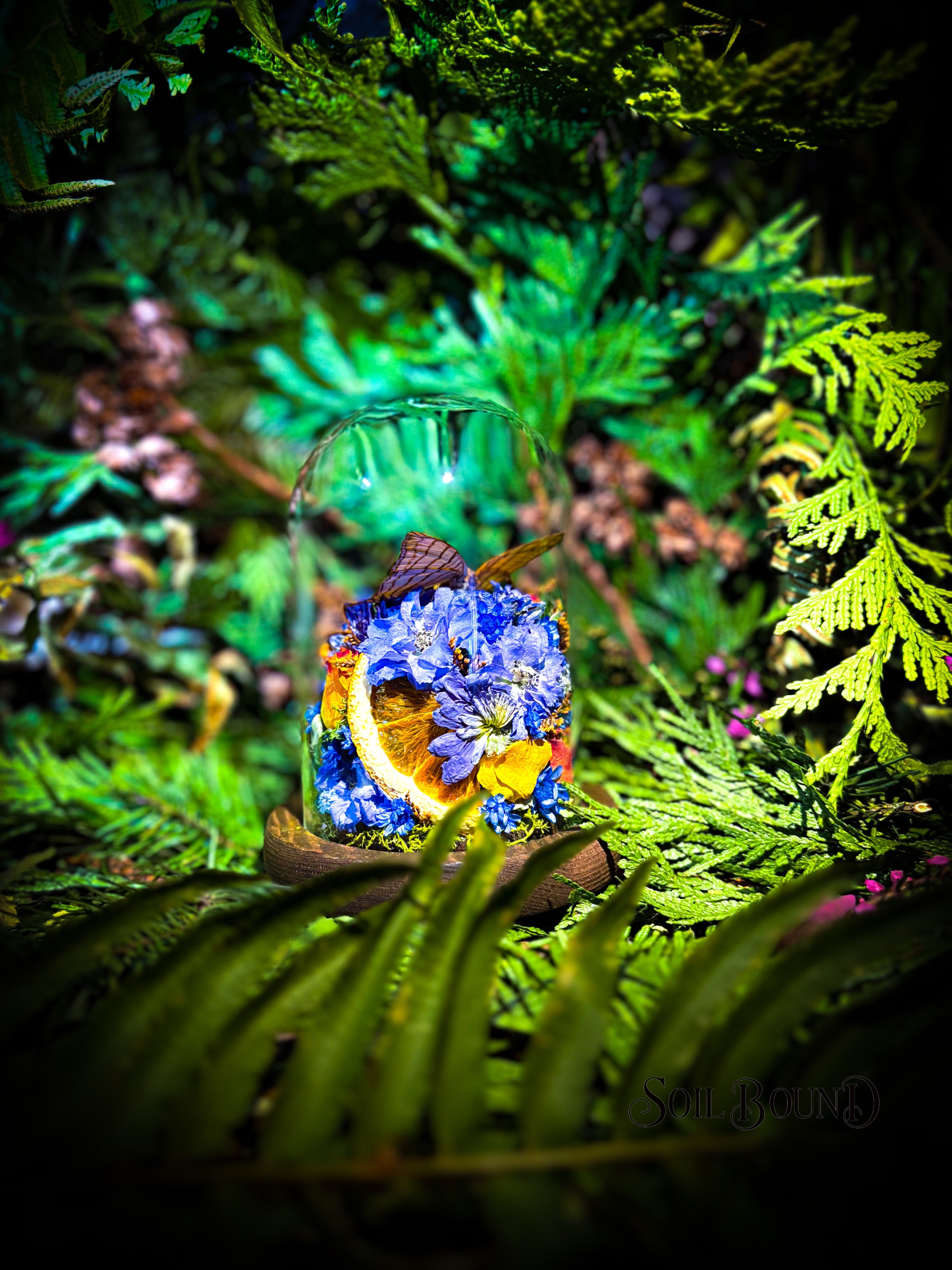 Ember in Blue