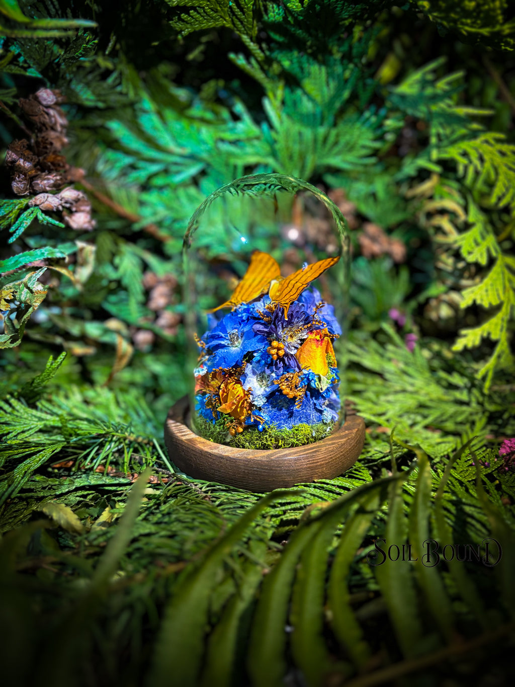 Ember in Blue