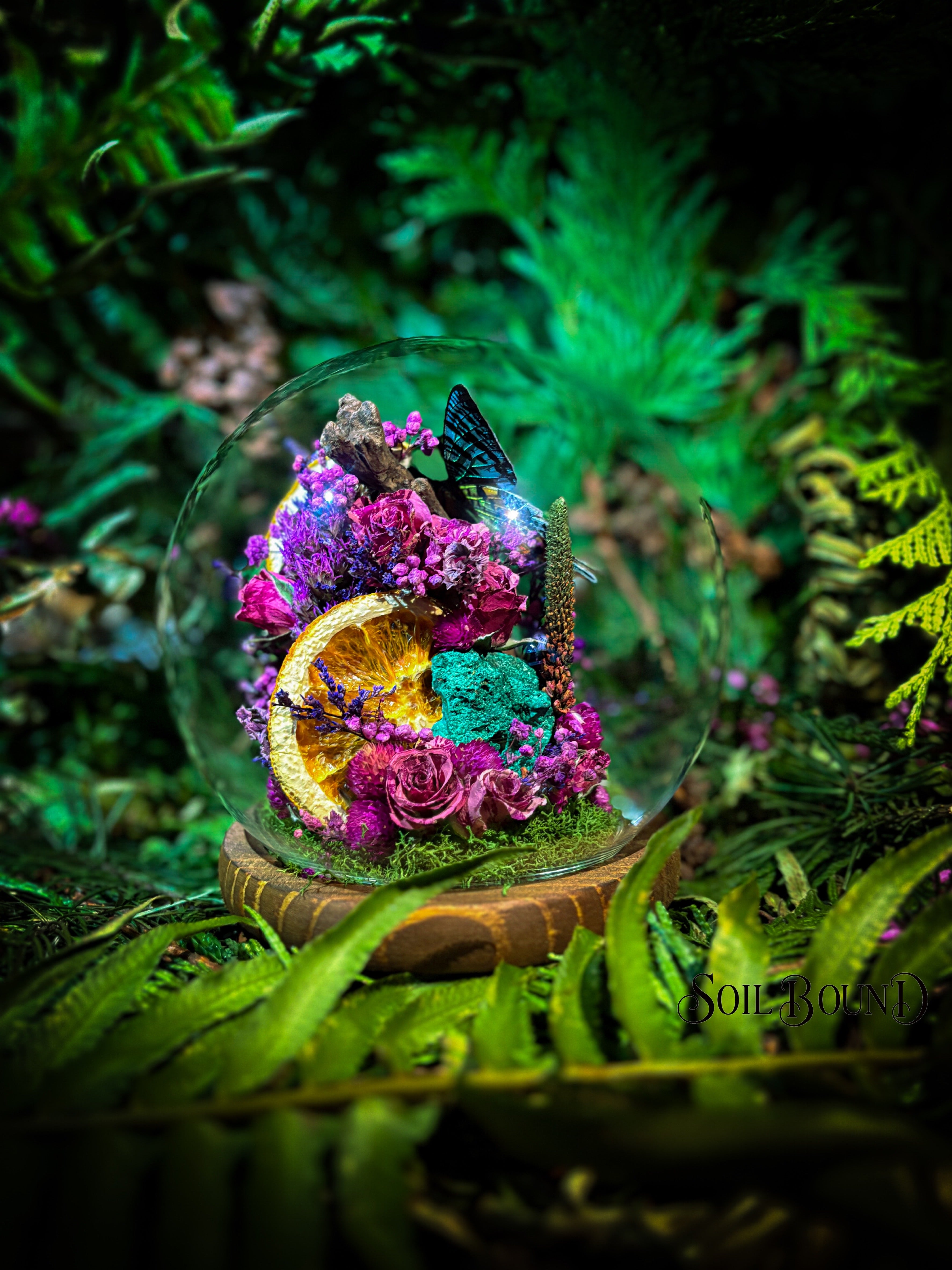 Tropical Prism