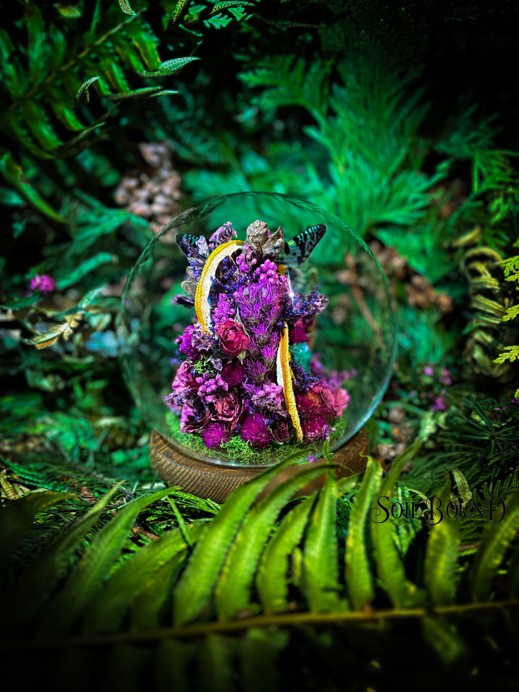 Tropical Prism