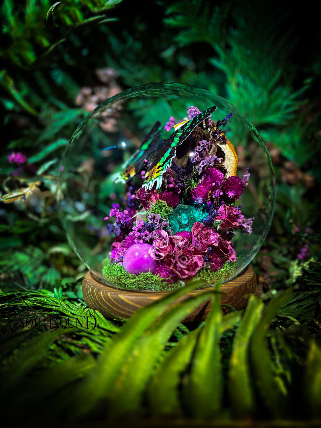 Tropical Prism