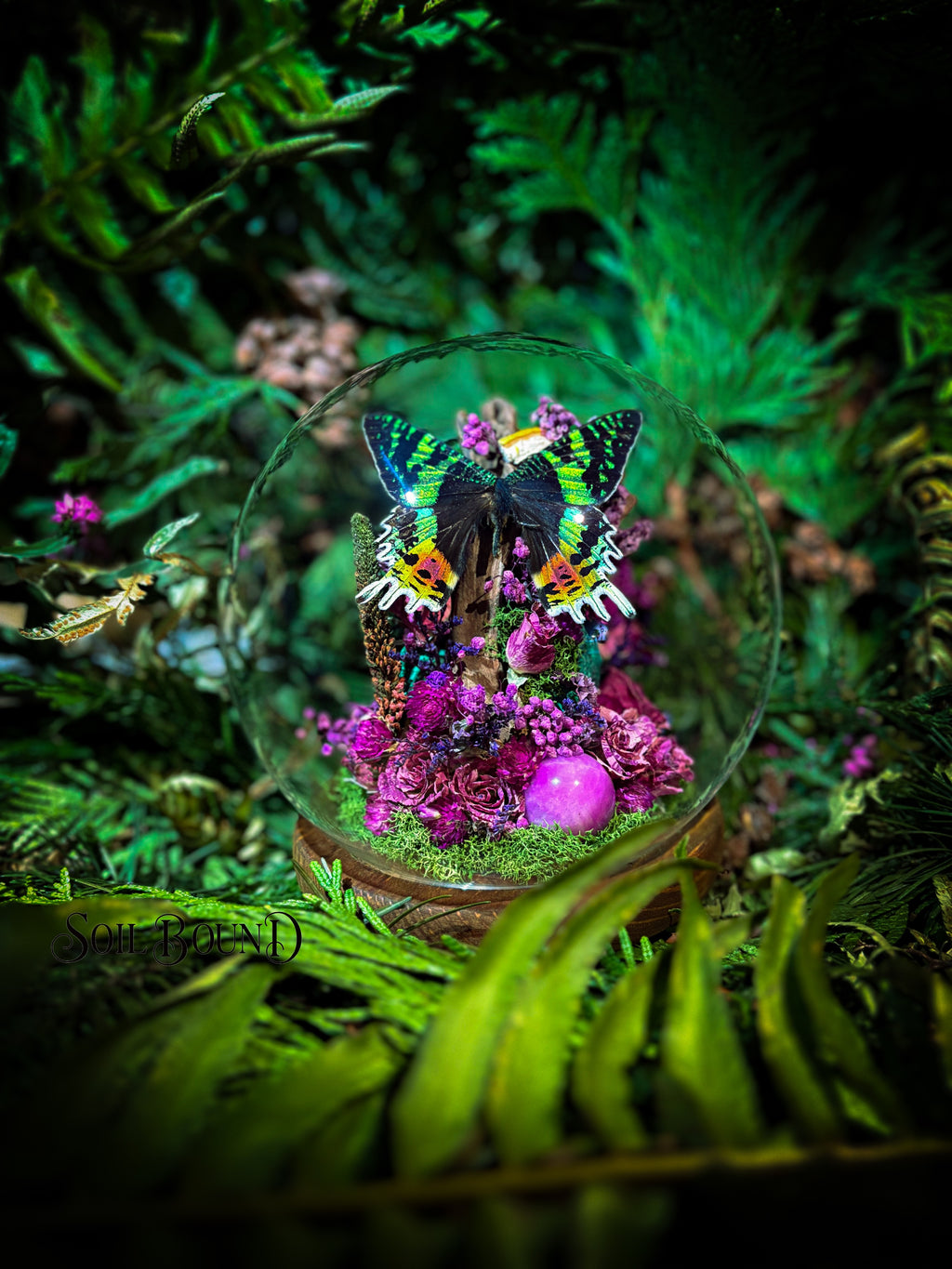Tropical Prism