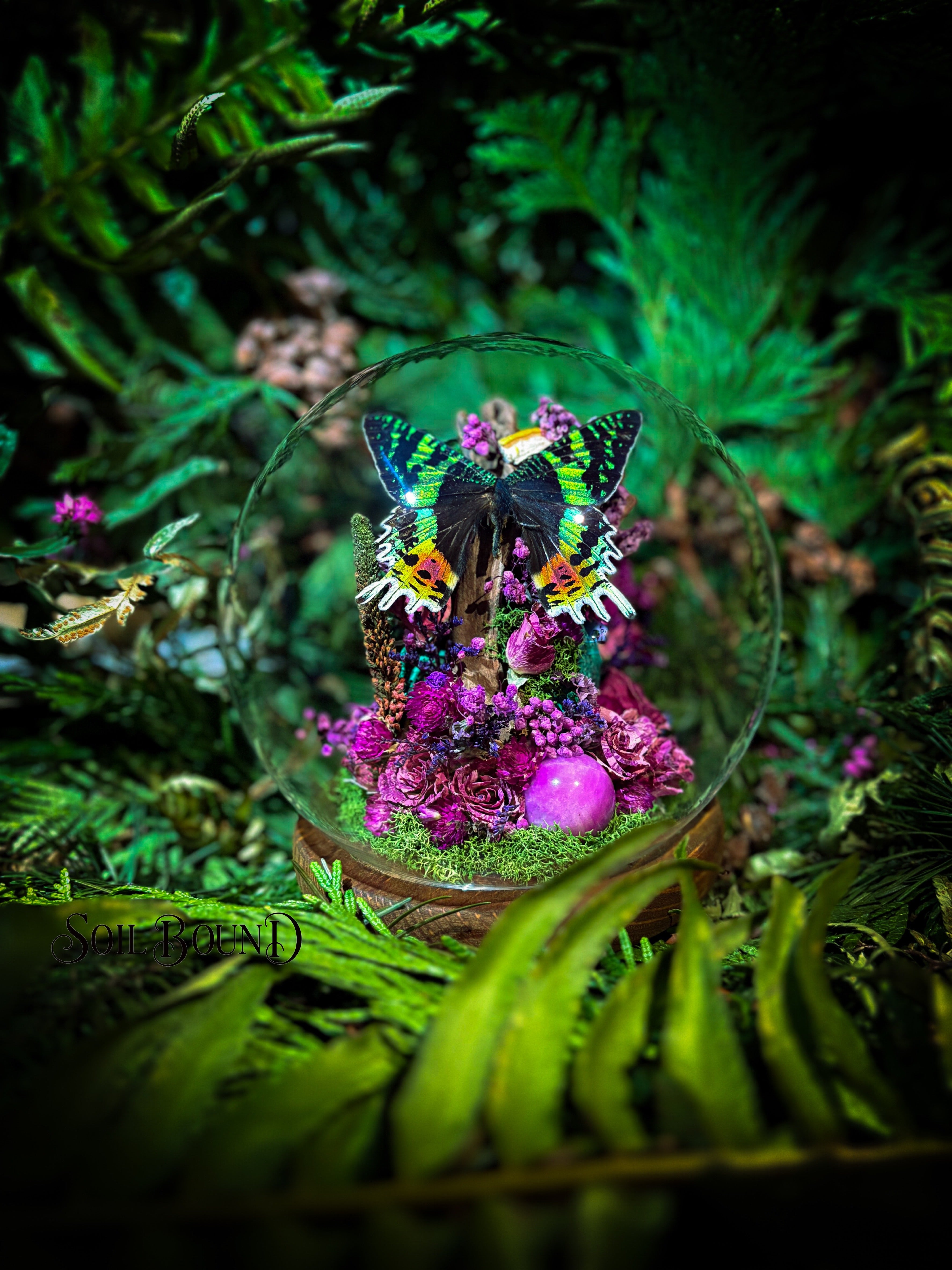Tropical Prism
