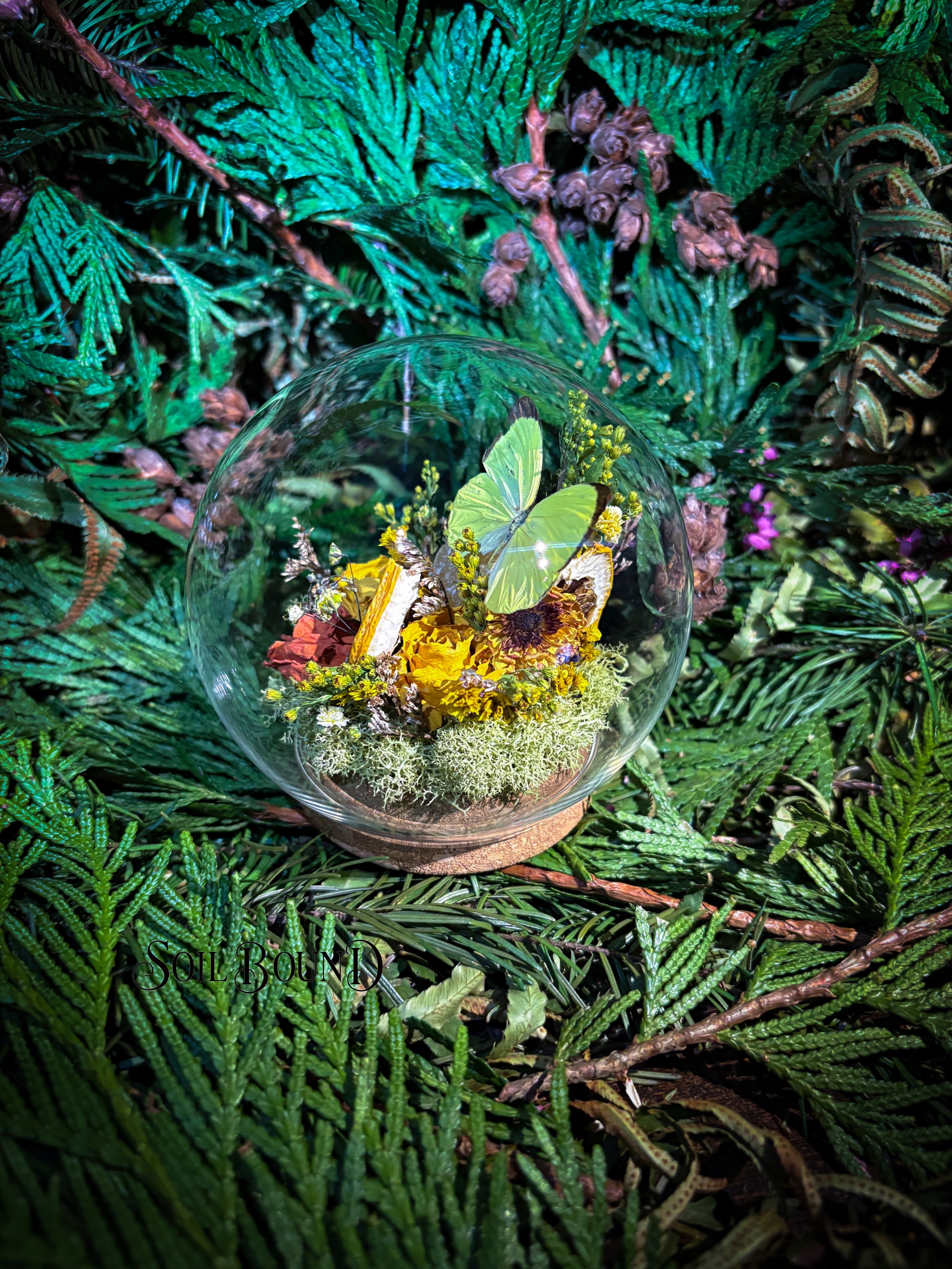 Golden Bloom