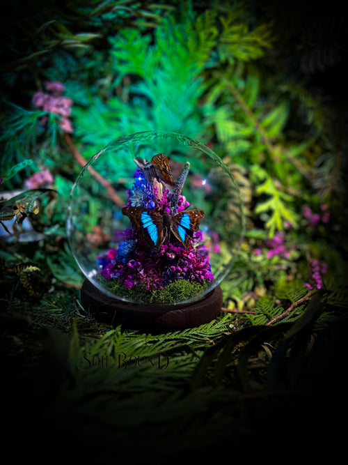 Celestial Bloom