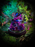 Celestial Bloom