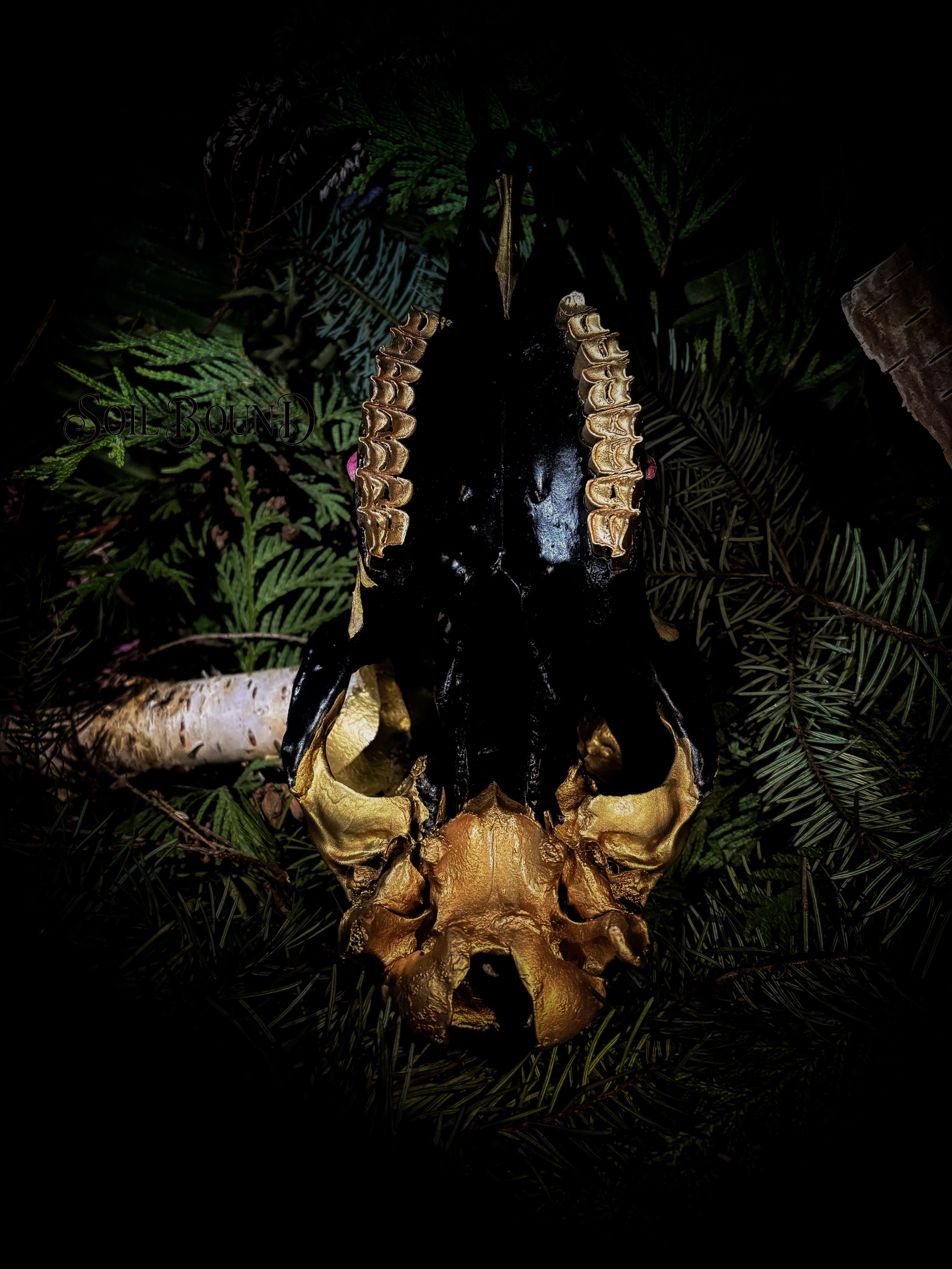 The Dark Bouquet - Sheep