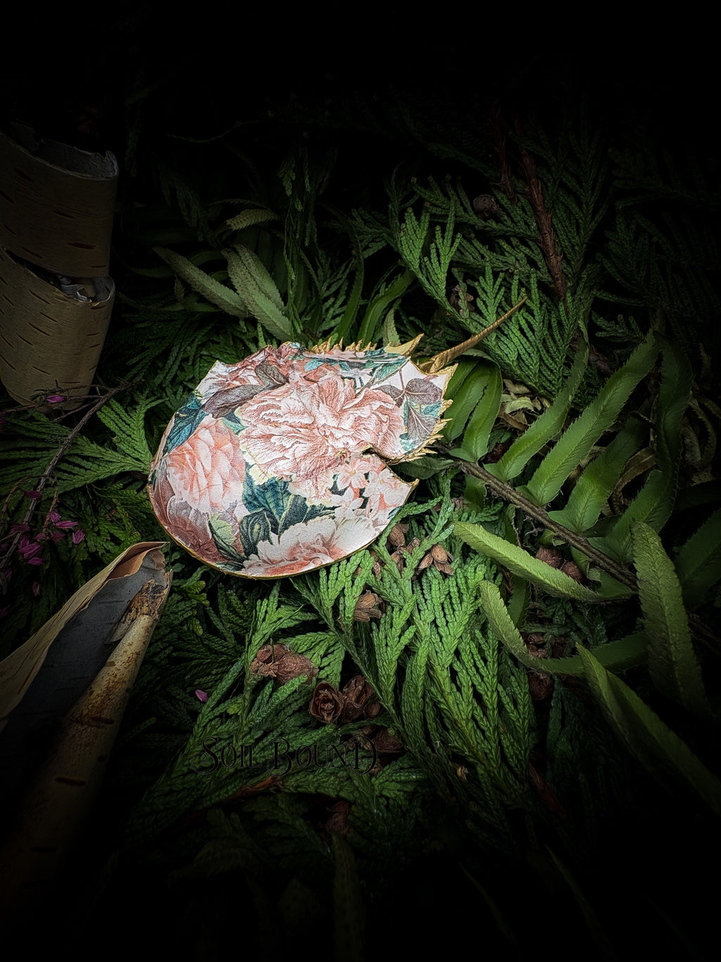An Armor of Blooms - Horseshoe Crab