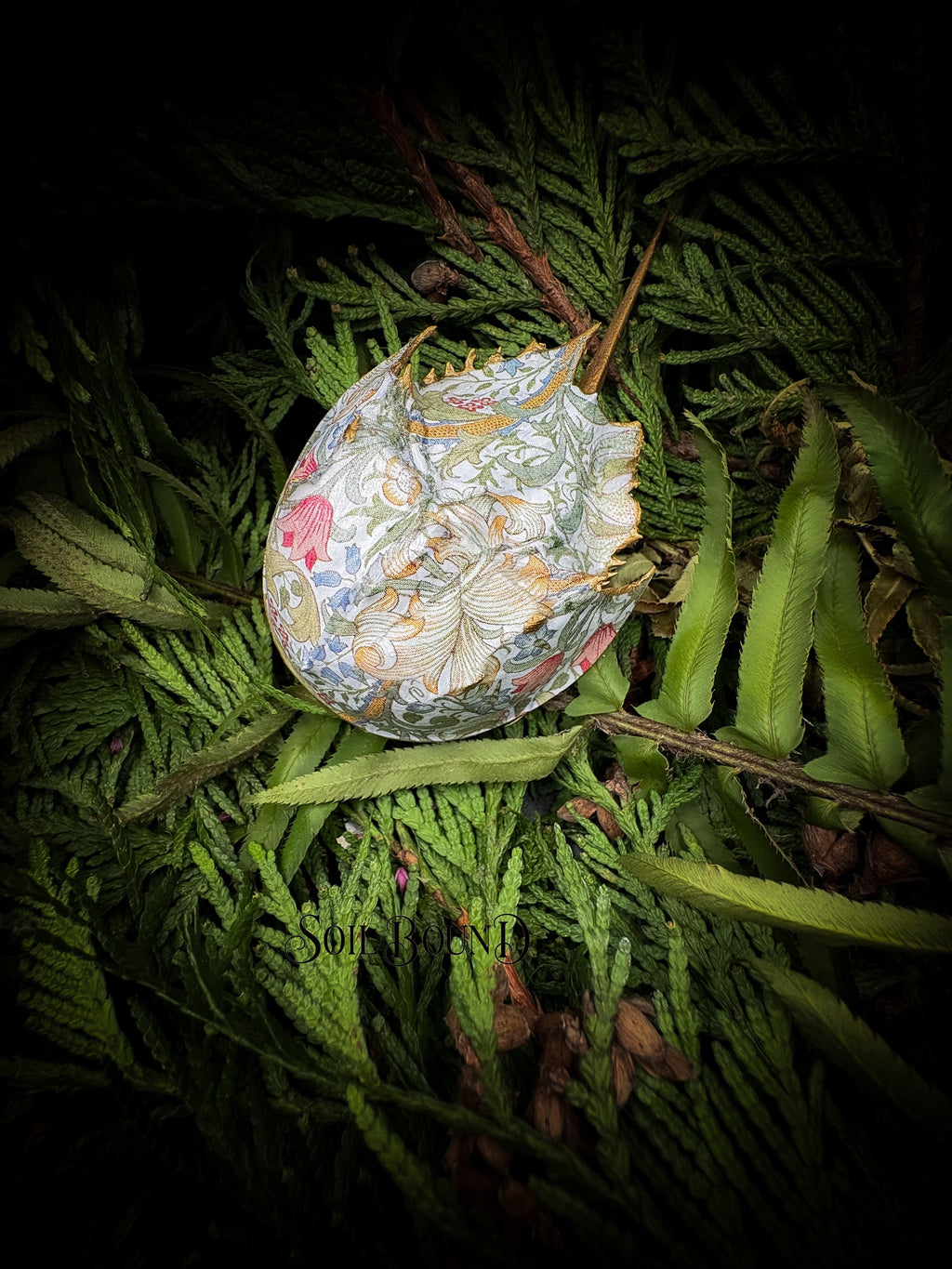 Tidal Blooms - Horseshoe Crab