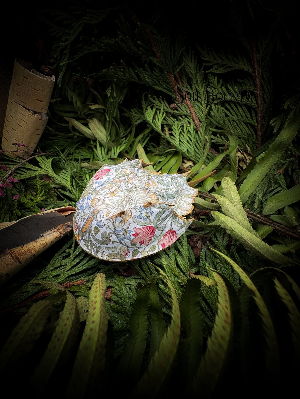 Tidal Blooms - Horseshoe Crab