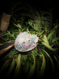 Tidal Blooms - Horseshoe Crab