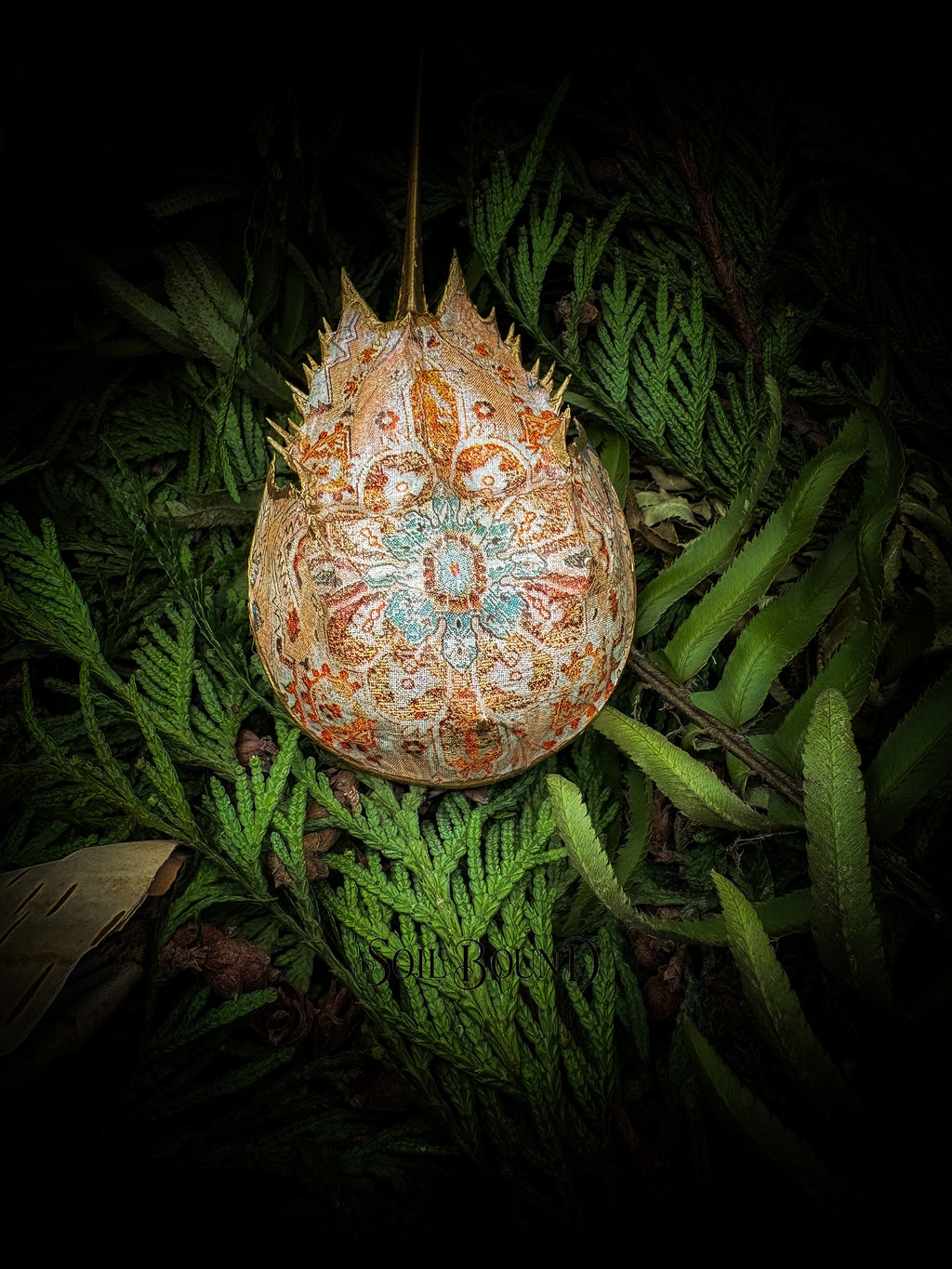 Relic of Time - Horseshoe Crab