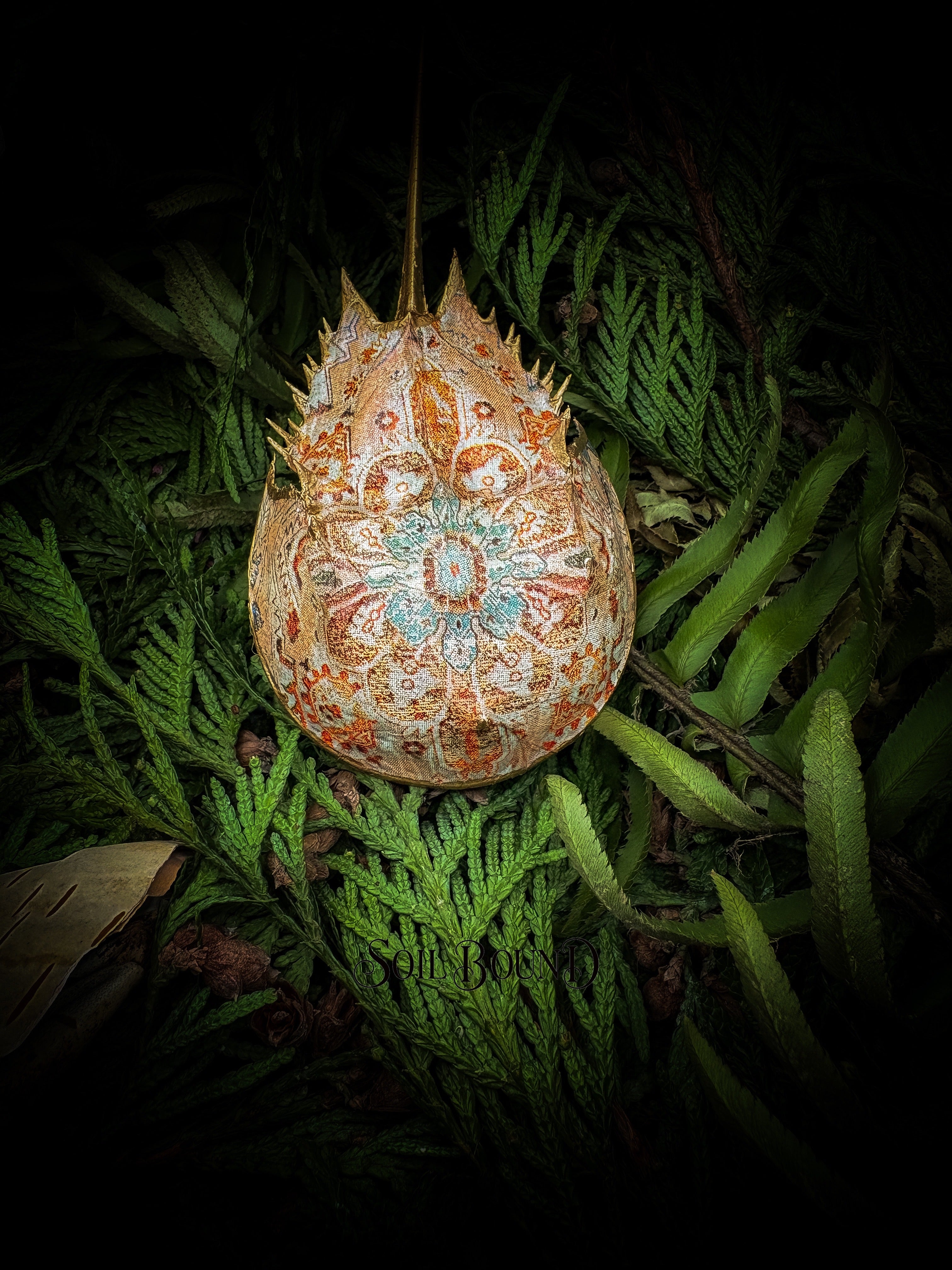 Relic of Time - Horseshoe Crab