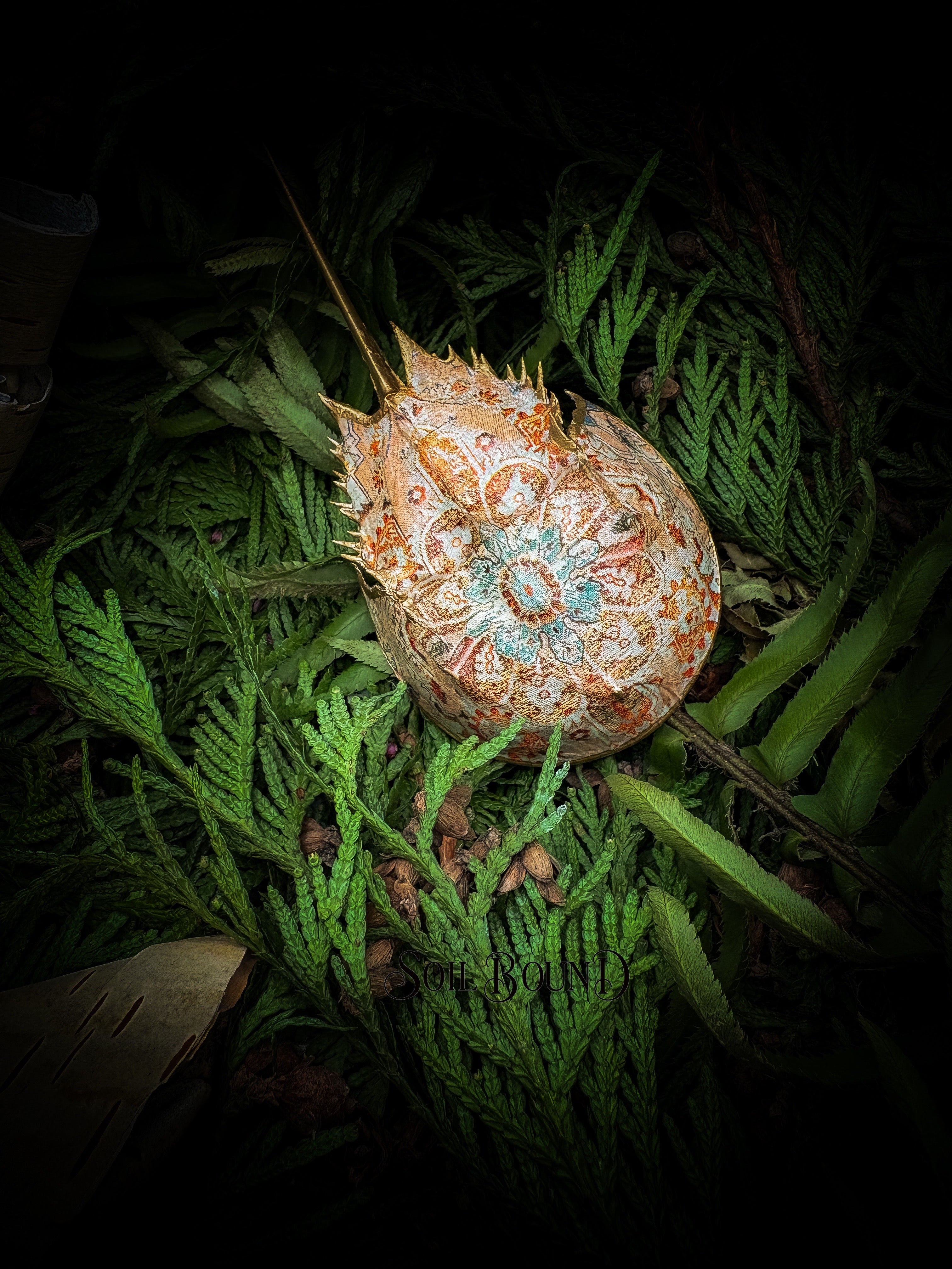 Relic of Time - Horseshoe Crab