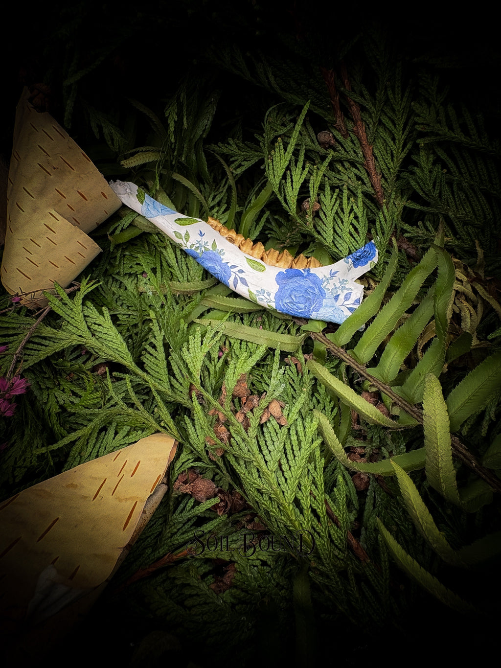 Blue Mourning - Deer Jaw