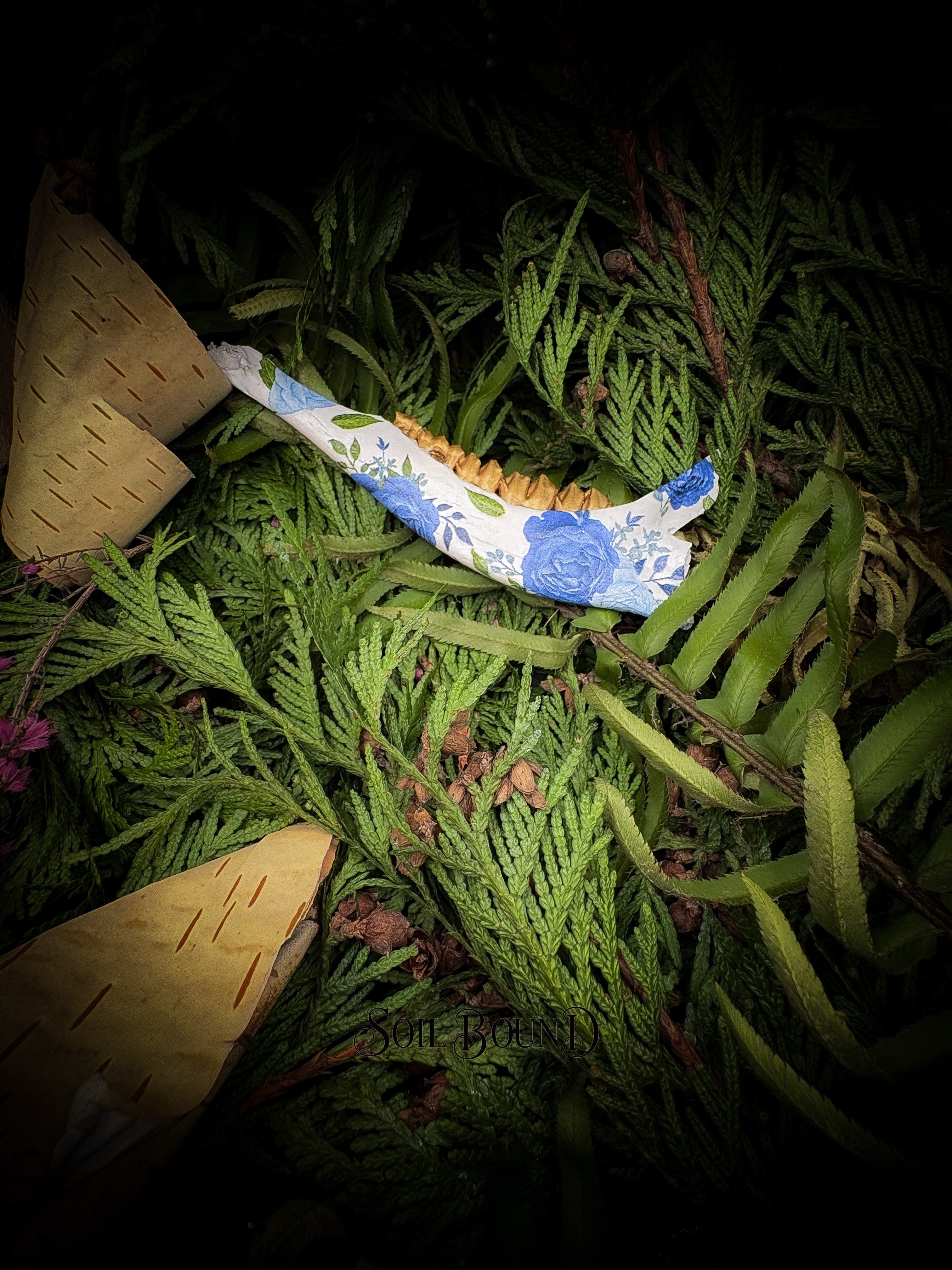 Blue Mourning - Deer Jaw