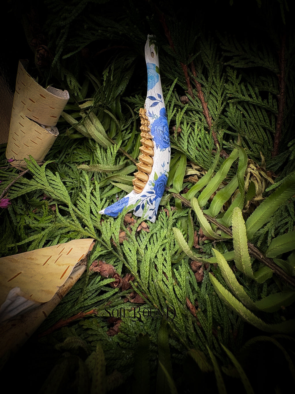 Blue Mourning - Deer Jaw
