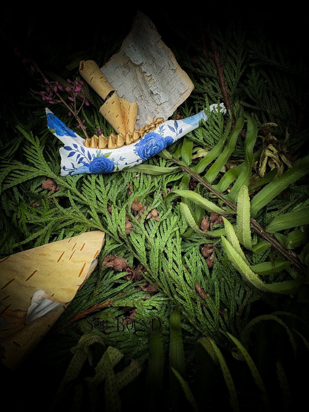 Blue Mourning - Deer Jaw