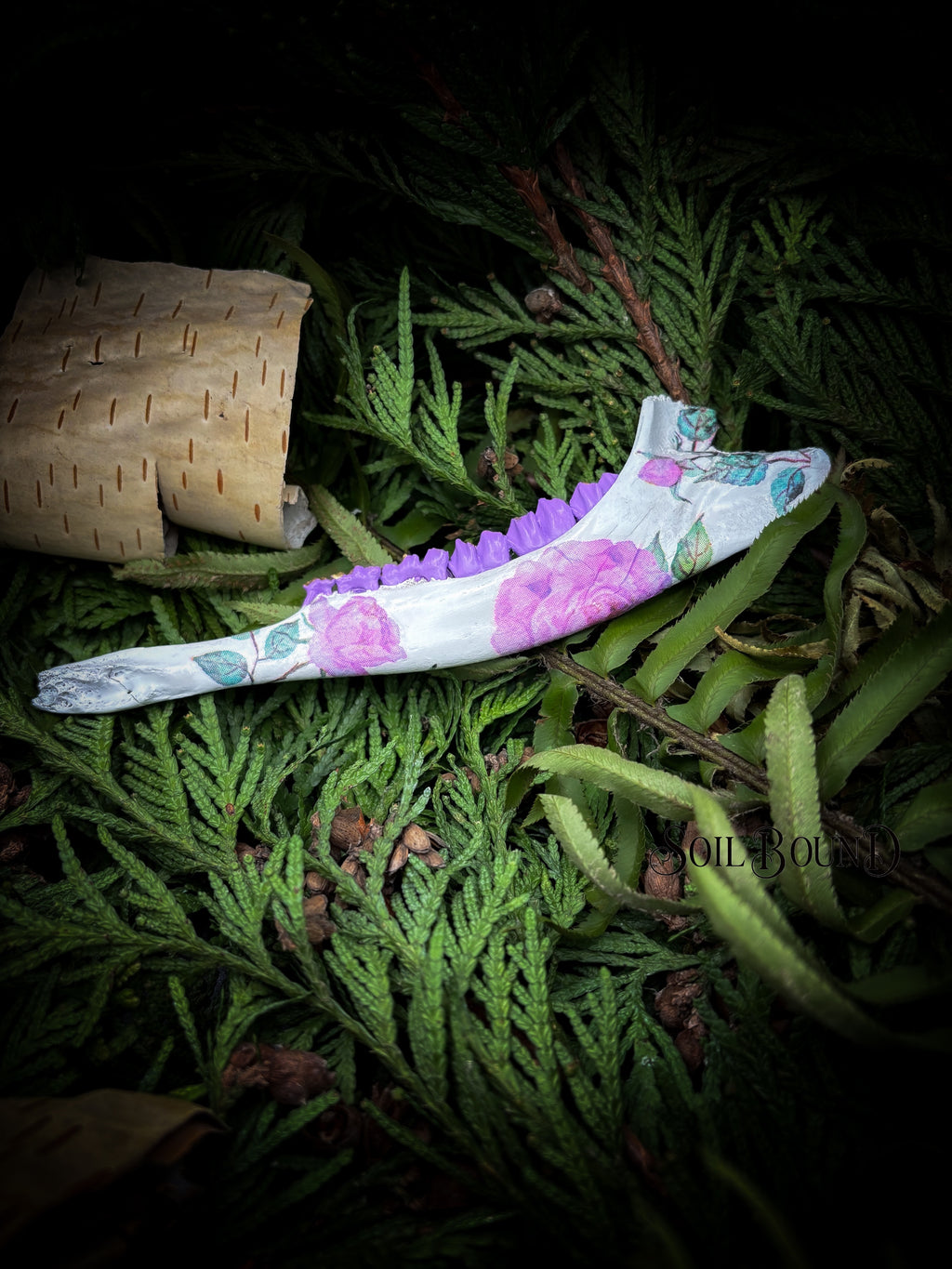 Violet Remains - Deer Jaw