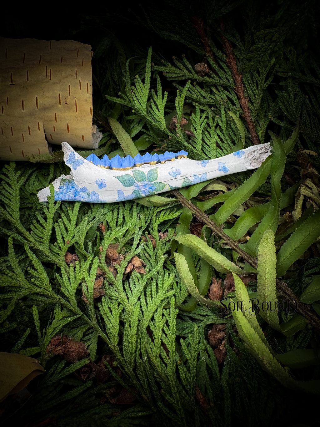 Budding Veil - Deer Jaw