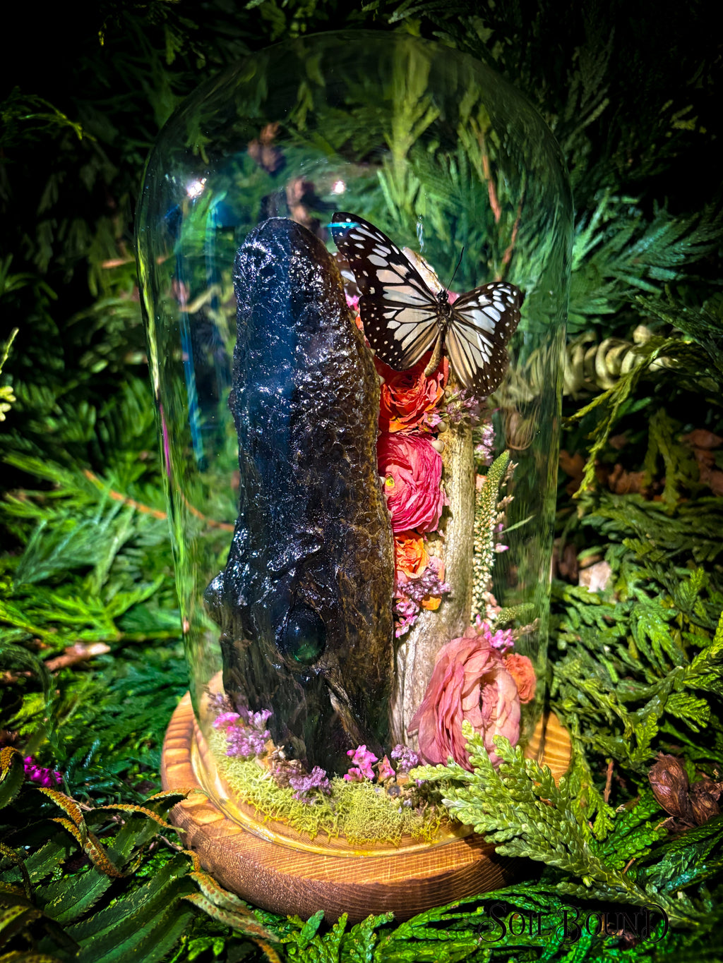 Swamp Queen IV