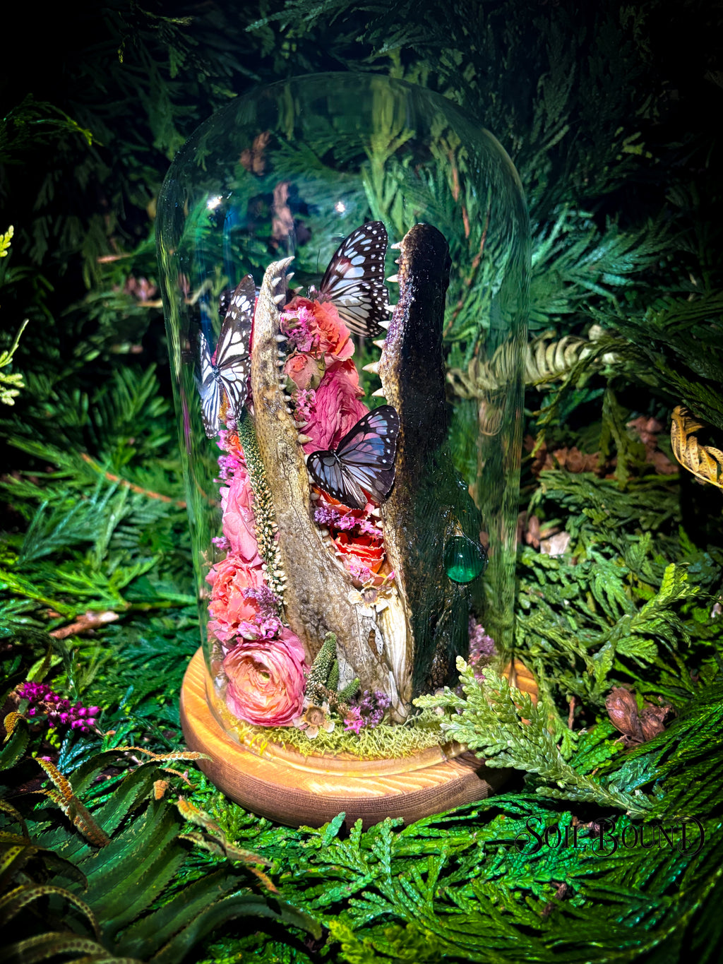 Swamp Queen IV