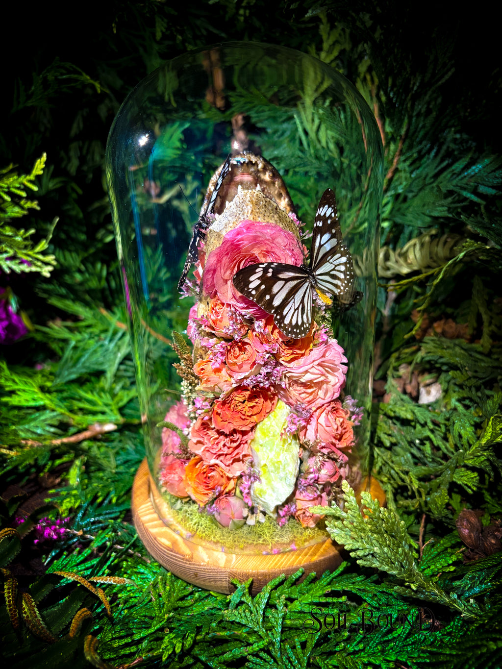 Swamp Queen IV