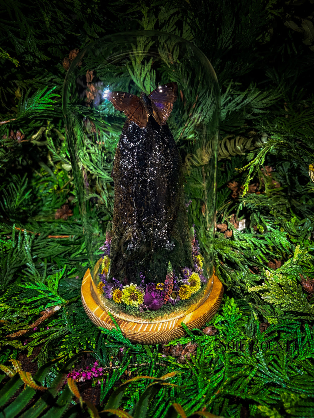 Swamp Queen III