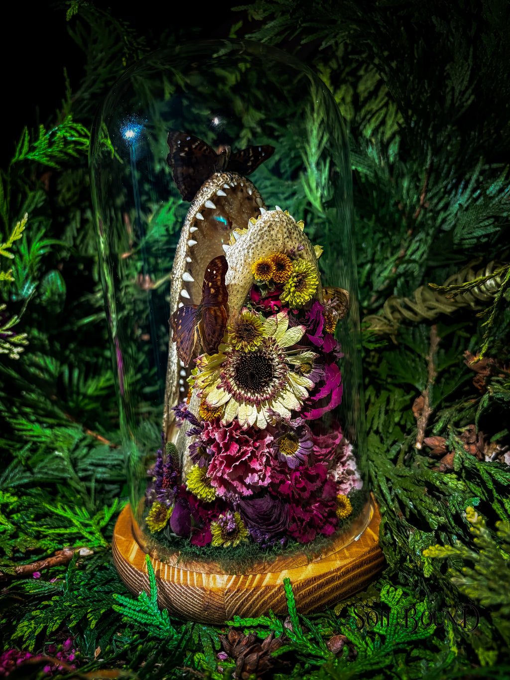 Swamp Queen III