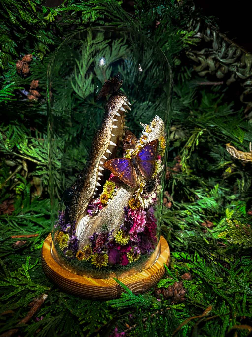 Swamp Queen III